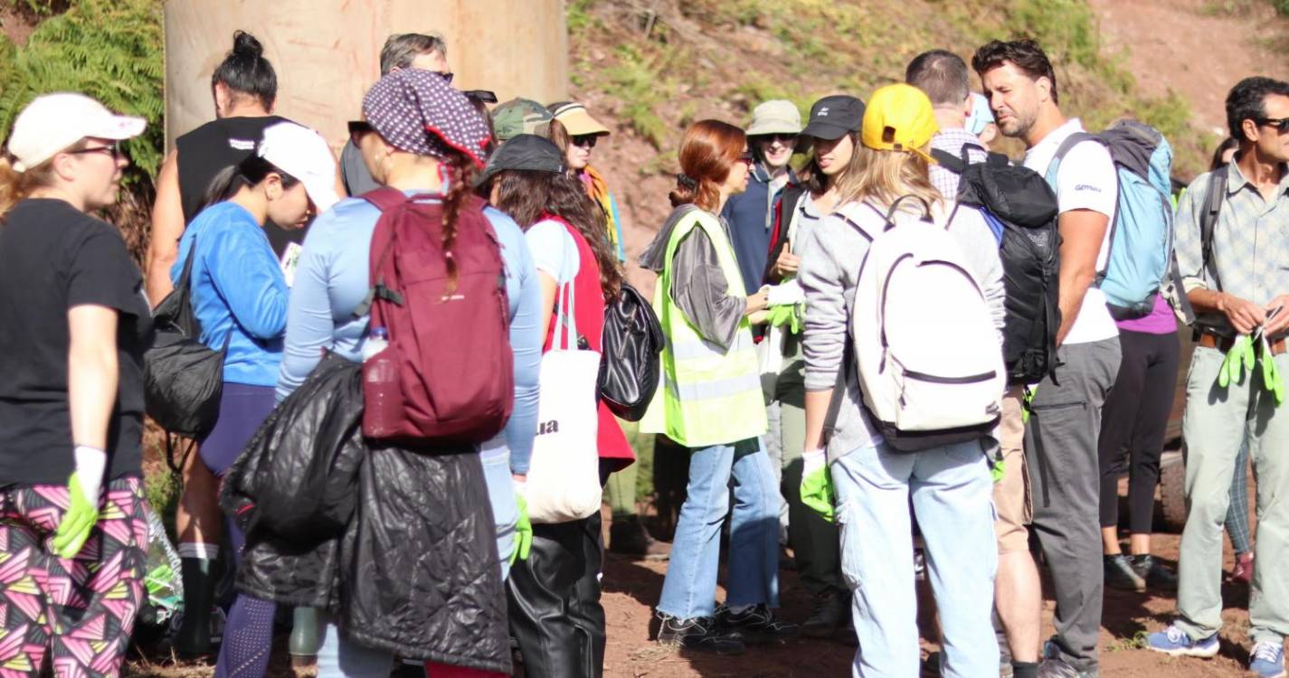 Nómadas digitais plantam 300 árvores na zona oeste da ilha