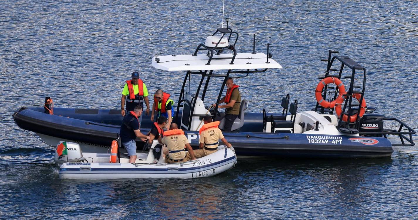 Piloto de helicóptero que caiu no Douro diz que ave na linha de voo o obrigou a desvio