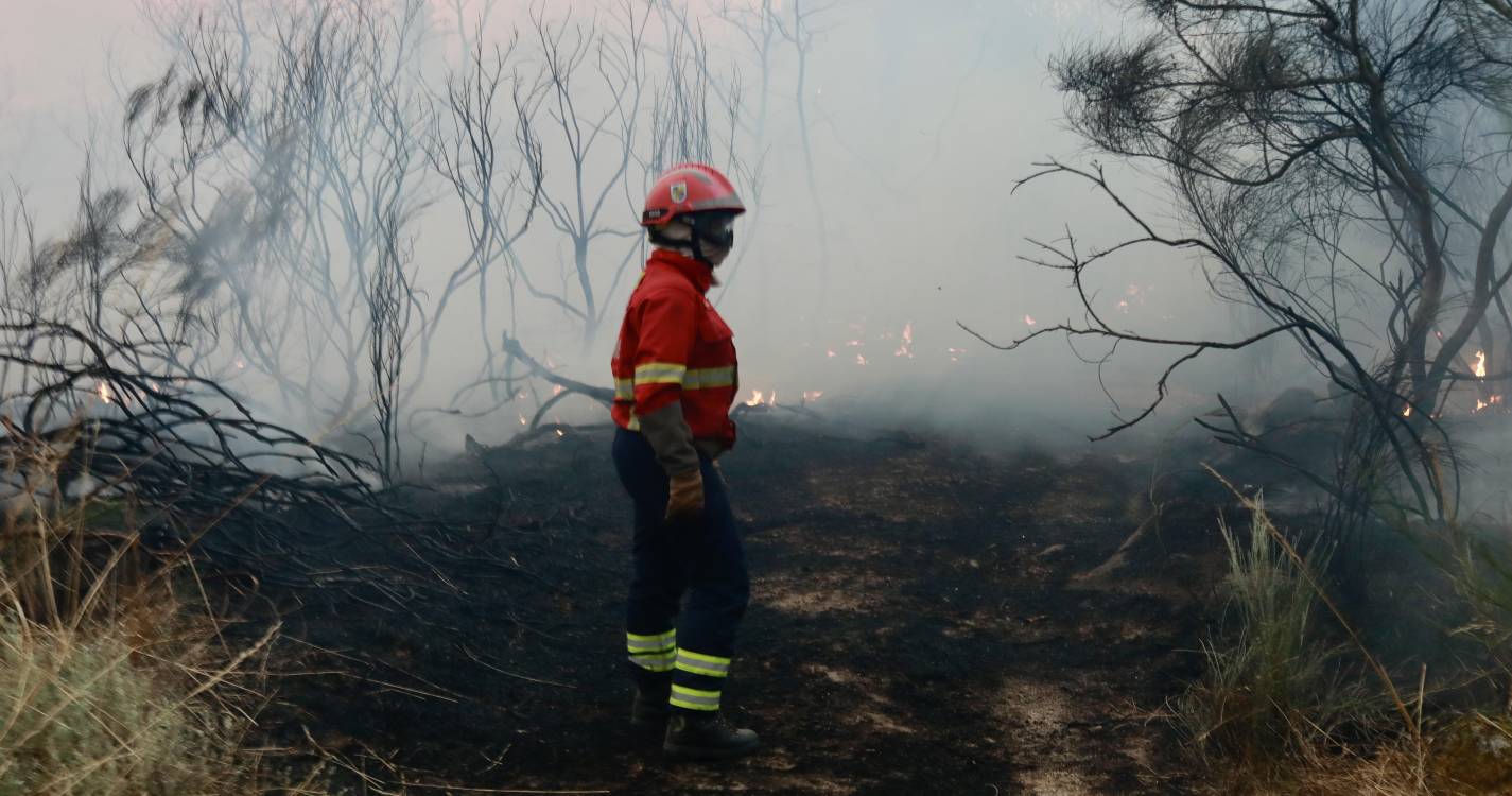 Incêndios: Morreu esta madrugada homem ferido no fogo do Sabugal