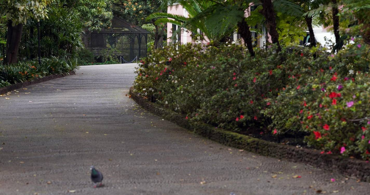 Conselho de Governo dá luz verde à cedência do antigo Centro de Saúde do Caniçal à IHM