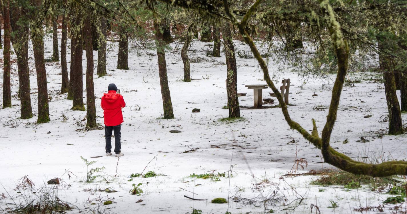 Neve na serra pode acumular até 10 centímetros e leva IPMA a emitir aviso amarelo
