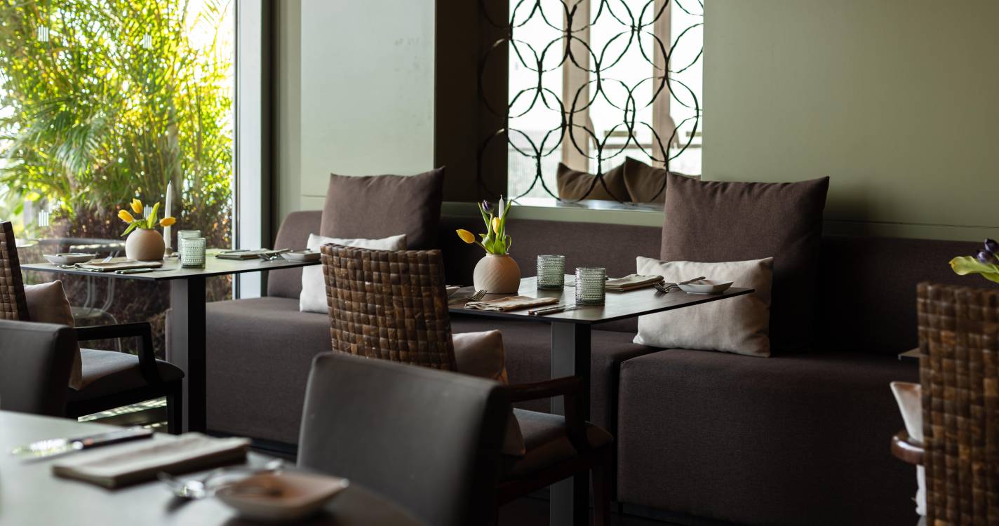 Fado no Alambique: novembro com sabor e tradição no Saccharum