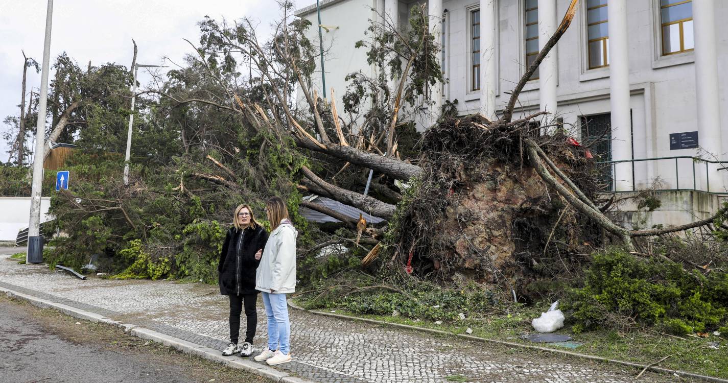 Mau tempo: Oeste com mais de 2.200 operacionais empenhados em 649 ocorrências