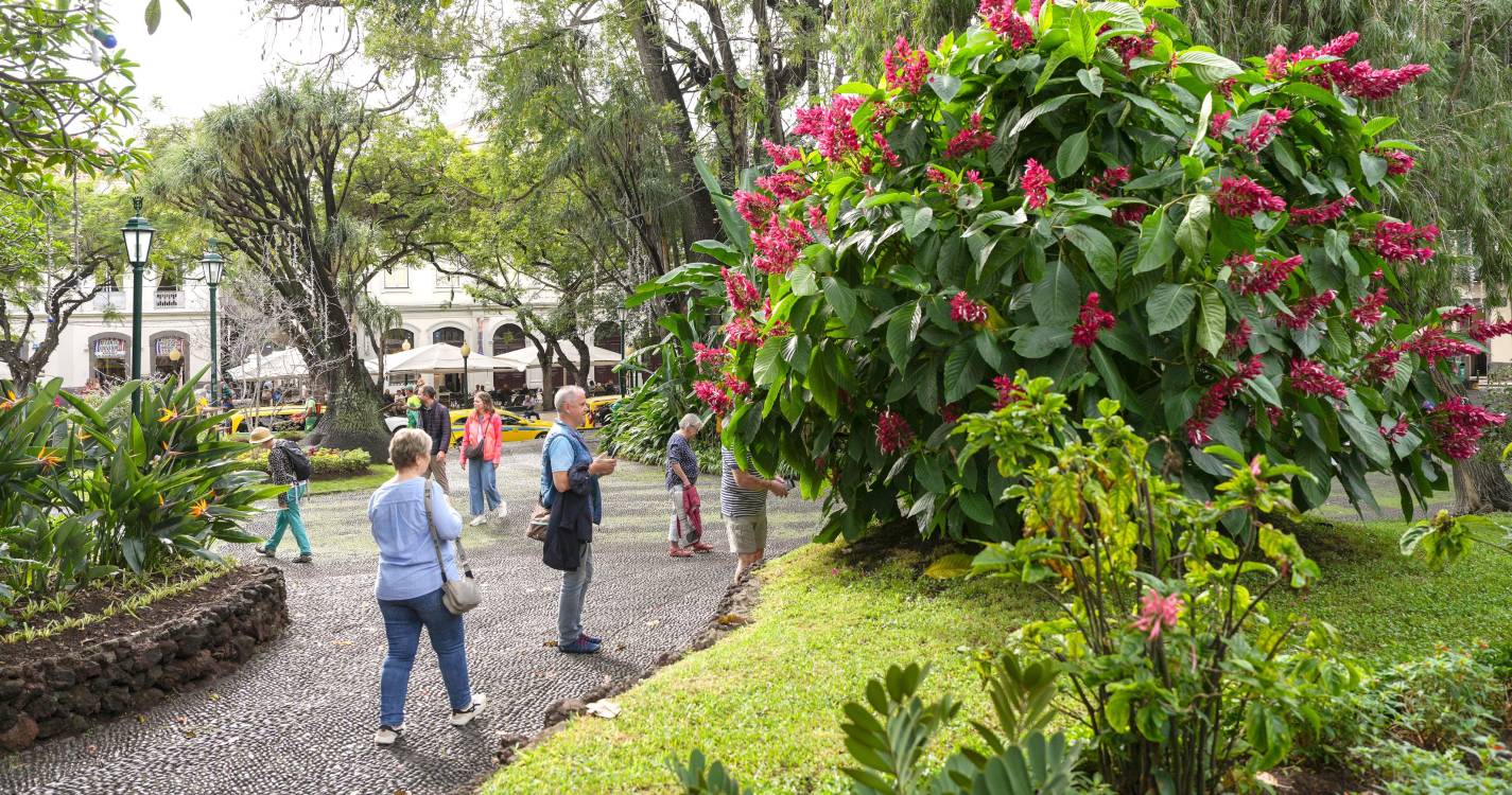 Antes e Depois: Um pulmão da cidade (com fotos)