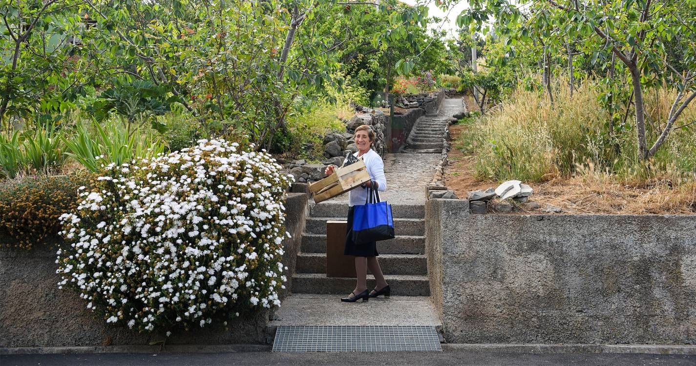 Jardim da Serra com 47,50% a escolher o PSD
