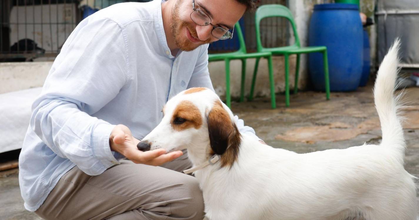 Europeias: Paupério elogia voto em mobilidade e espera que se reflita na participação eleitoral