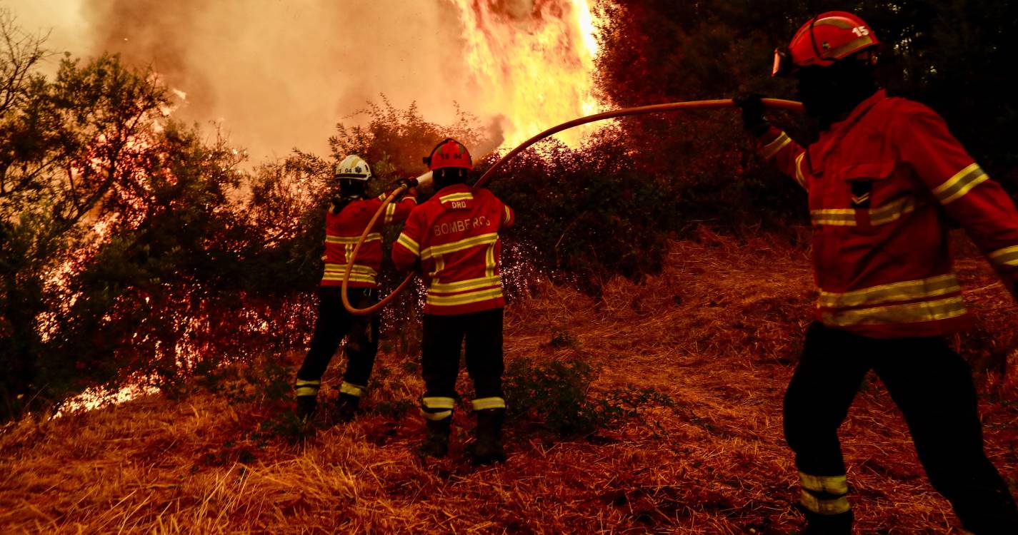 Incêndios: Fogo que começou em Arganil apresenta a maior área ardida de sempre em Portugal