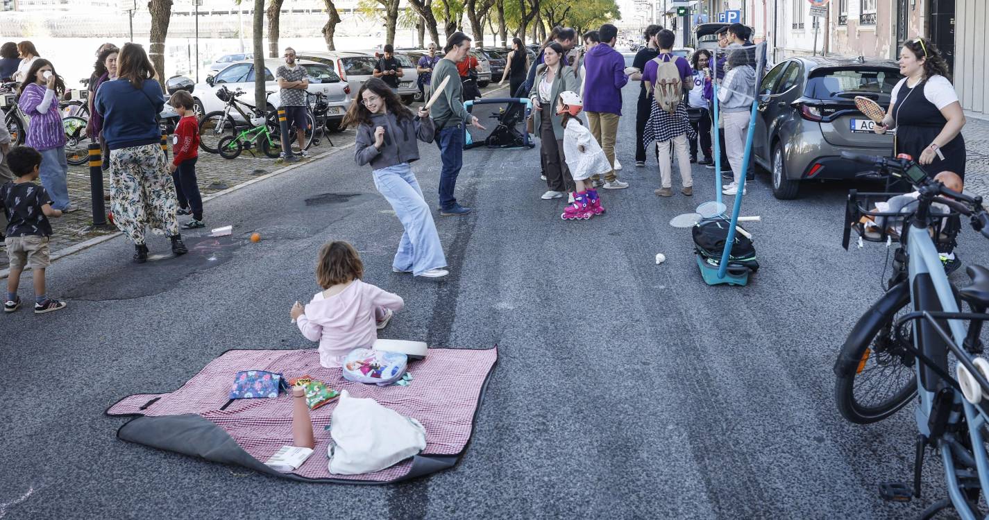 Livre e PAN pedem a Moedas que recue no abate de jacarandás da Av. 5 de Outubro