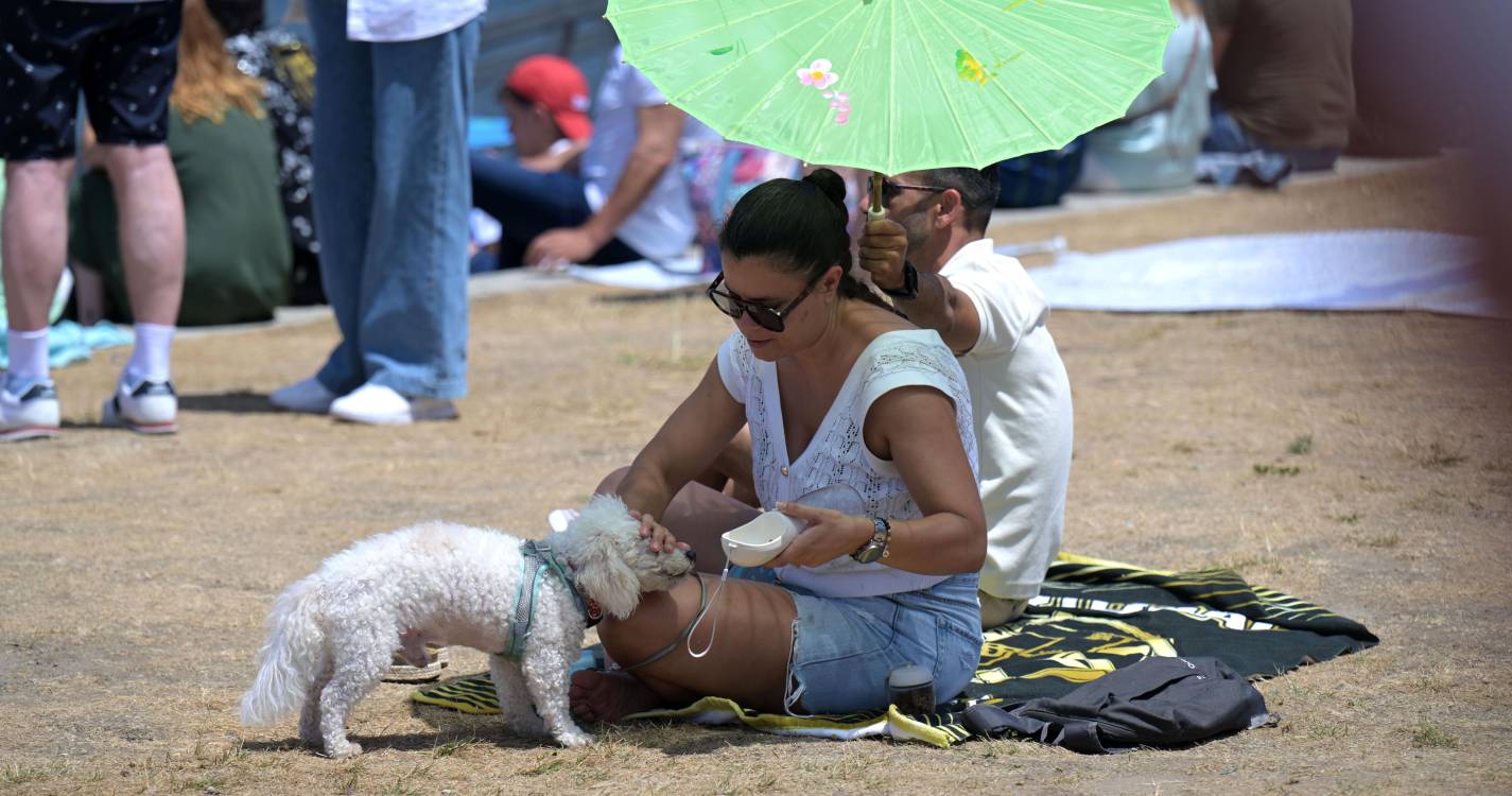 Na Ribeira do Porto, já não há lugar à sombra para tantos curiosos verem aviões (com fotos)