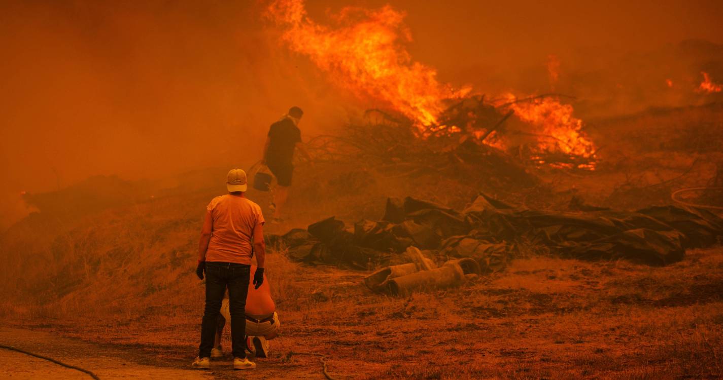 Incêndios: Mulher em conflito com vizinhos detida por incêndio florestal em Pinhel