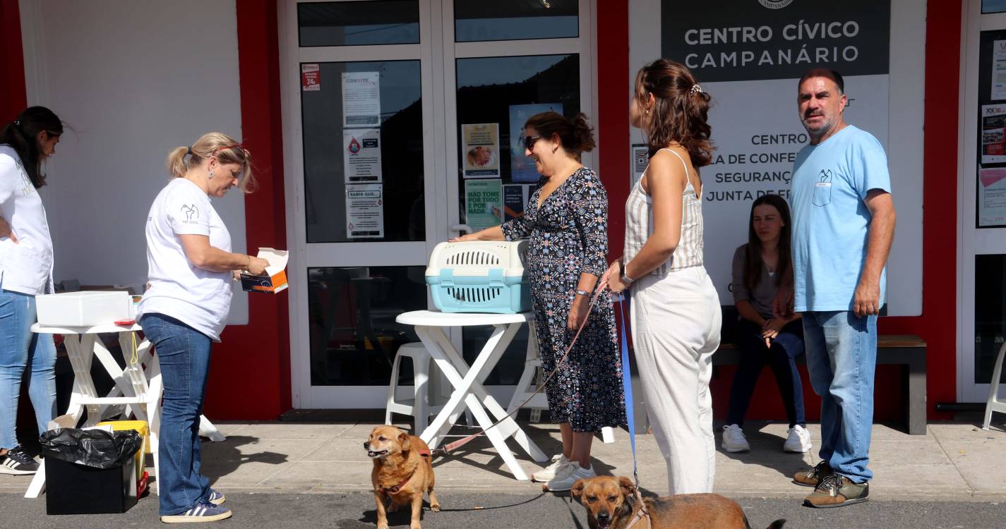 Ribeira Brava promove Campanha Veterinária para animais de companhia