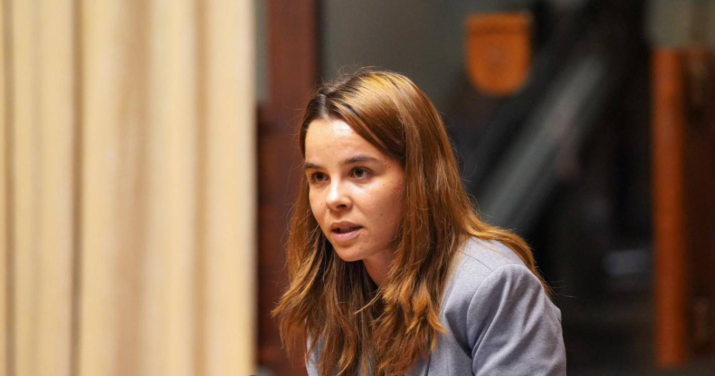 PAN vai aprovar Orçamento da Madeira desde que acordo com PSD seja honrado