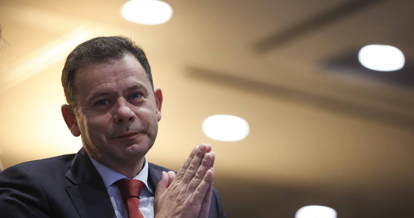 Aliança Democrática com mais de 50% em seis concelhos