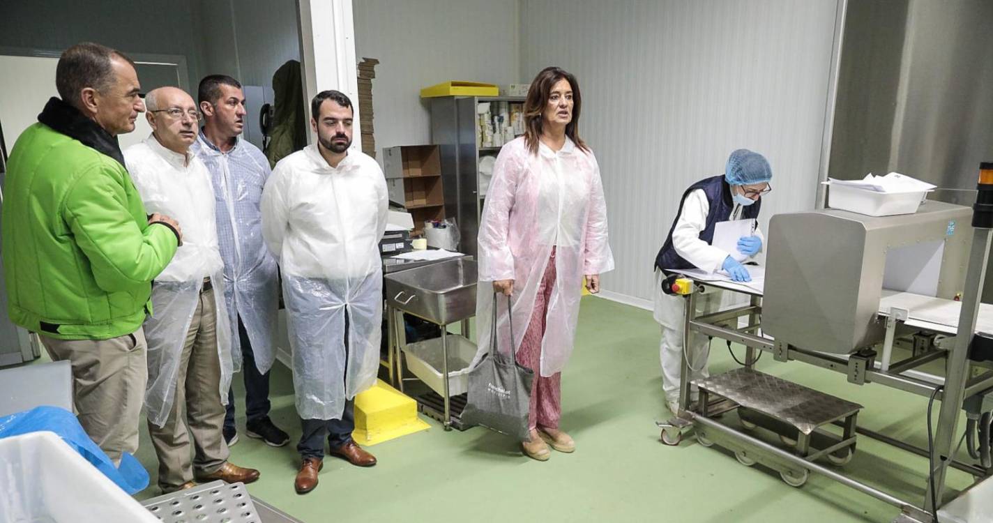 Rubina Leal defende mais apoios europeus para as empresas regionais