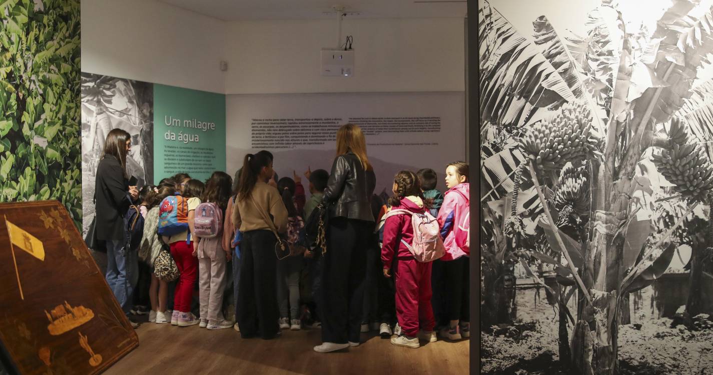 A fruta que se tornou uma imagem de marca da Madeira e tem agora um museu