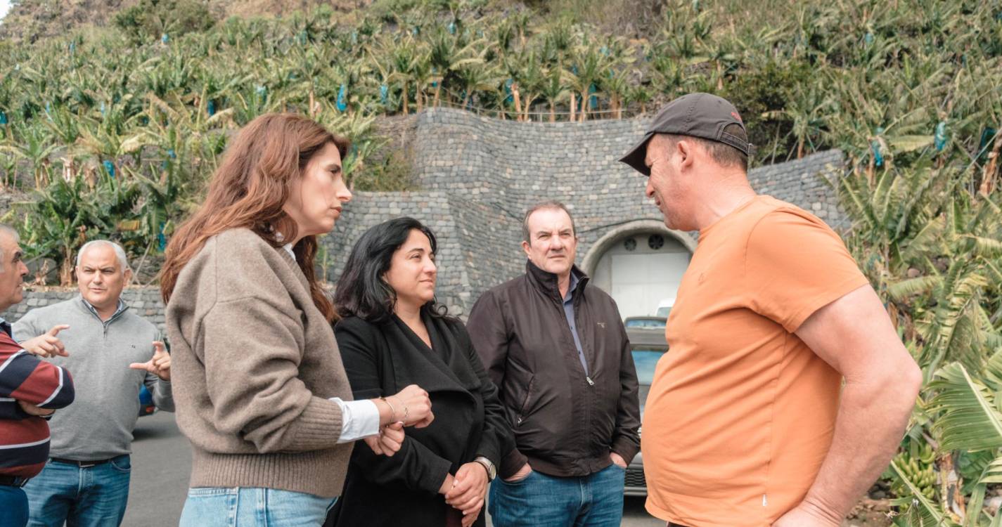 Grupo parlamentar PSD/M destaca medidas de apoio aos bananicultores