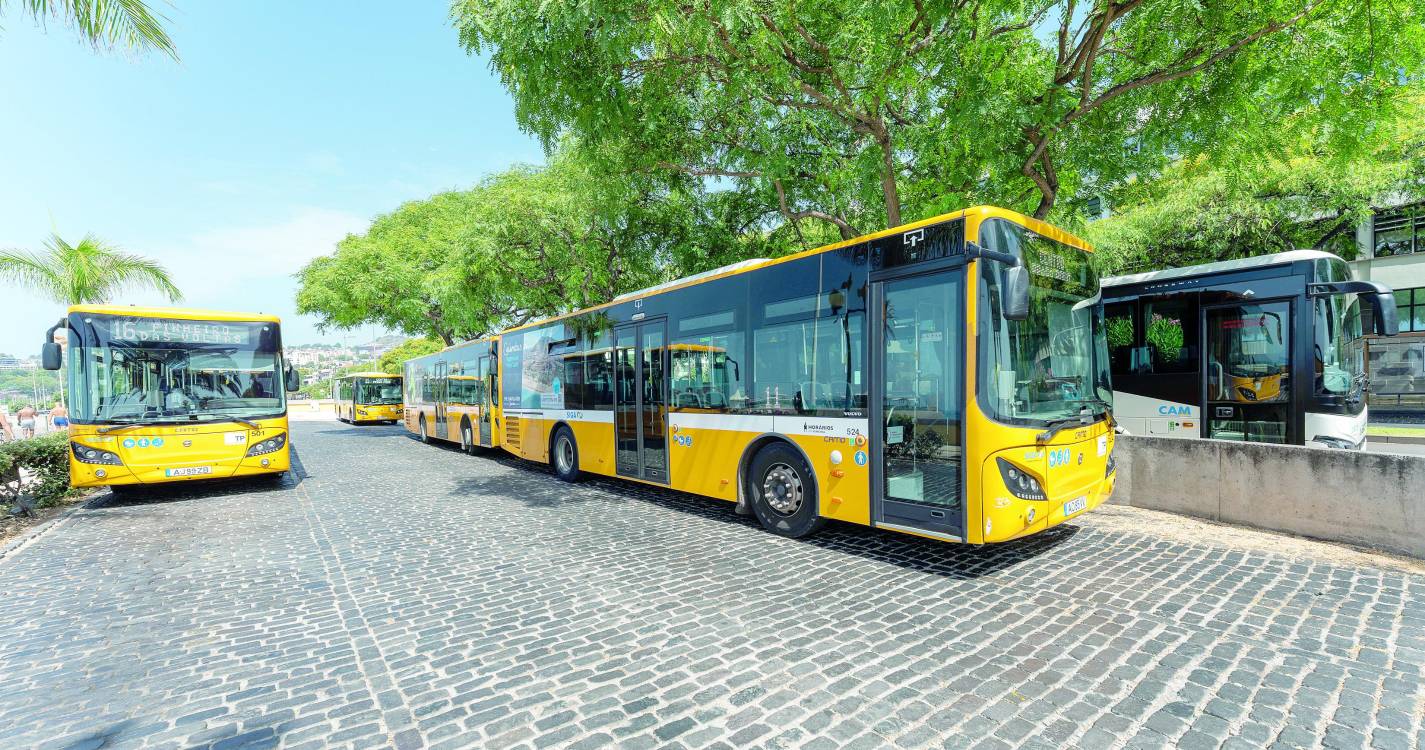 Horários do Funchal tem novo site