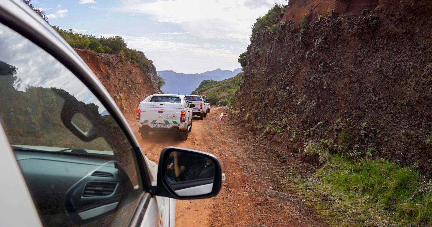 IFCN reforça vigilância florestal e coloca dispositivo em permanência