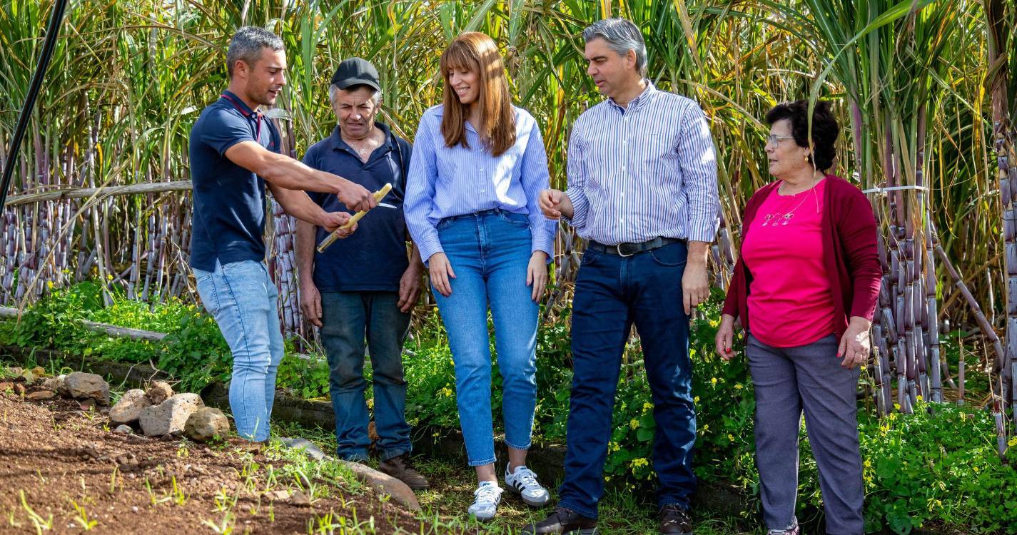 Rui Marques recorda “grande trabalho” do PSD na defesa do setor da cana de açúcar