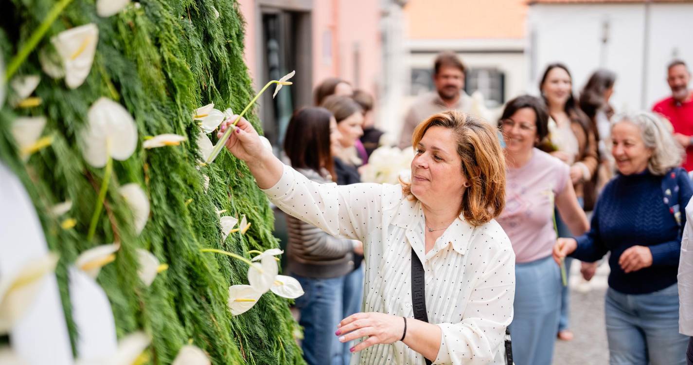 Festa da Flor: Câmara da Calheta cria Mural da Esperança