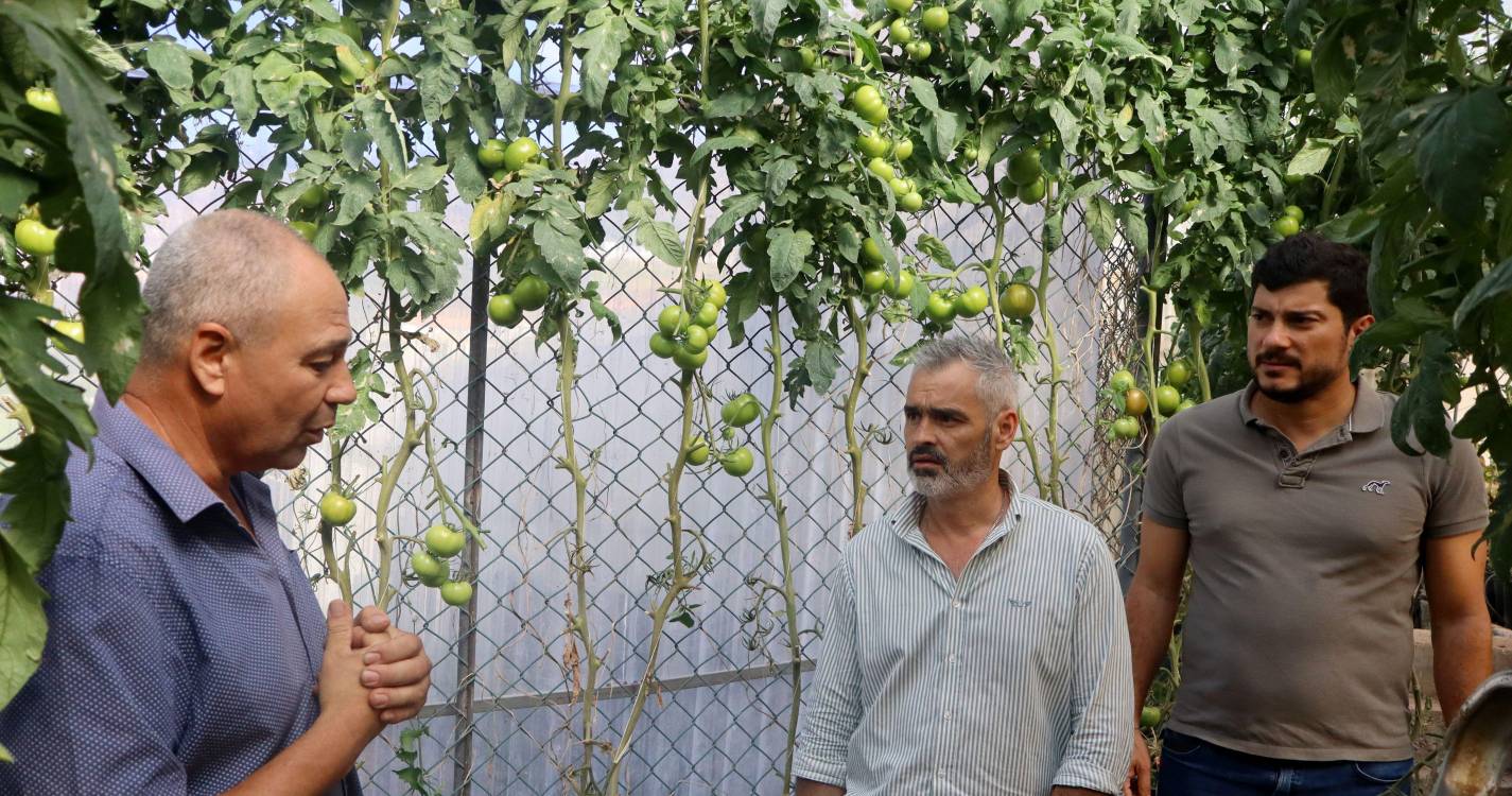 Jorge Santos defende agricultura “mais atrativa e rentável” na Ribeira Brava