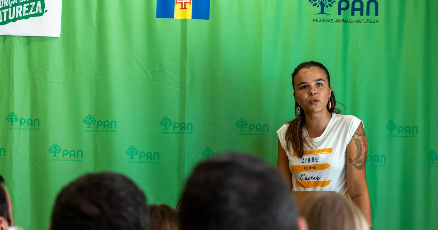 PAN pede políticas para combate à violência doméstica