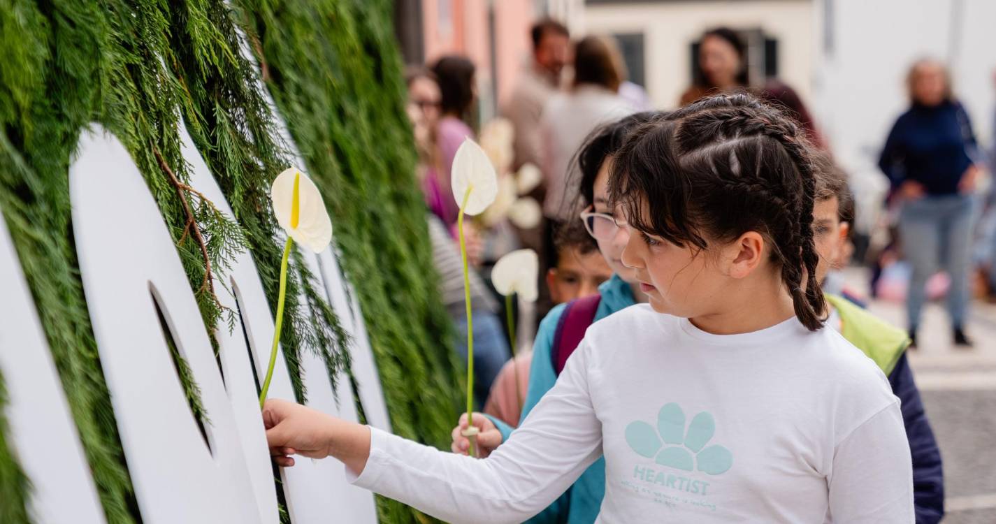 Festa da Flor: Câmara da Calheta cria Mural da Esperança