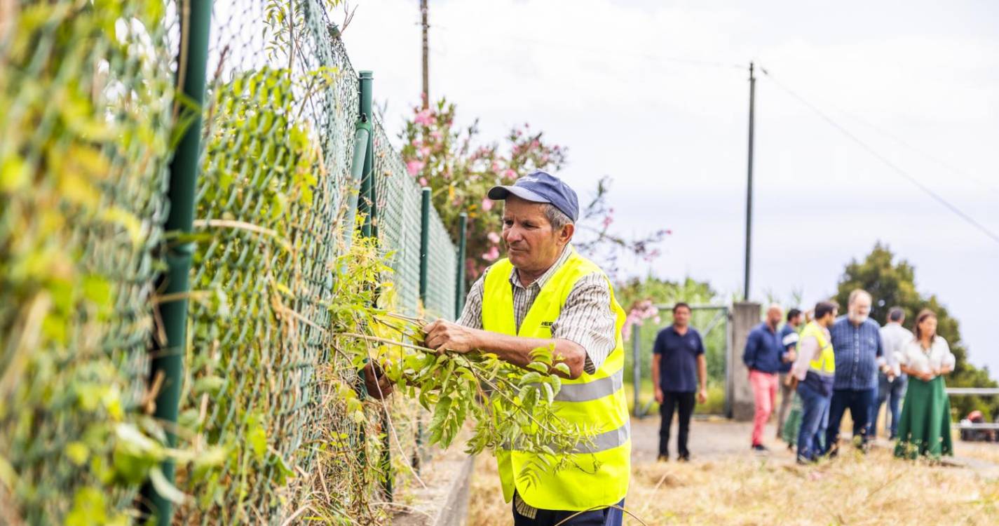Funchal limpa áreas circundantes aos reservatórios de água para consumo