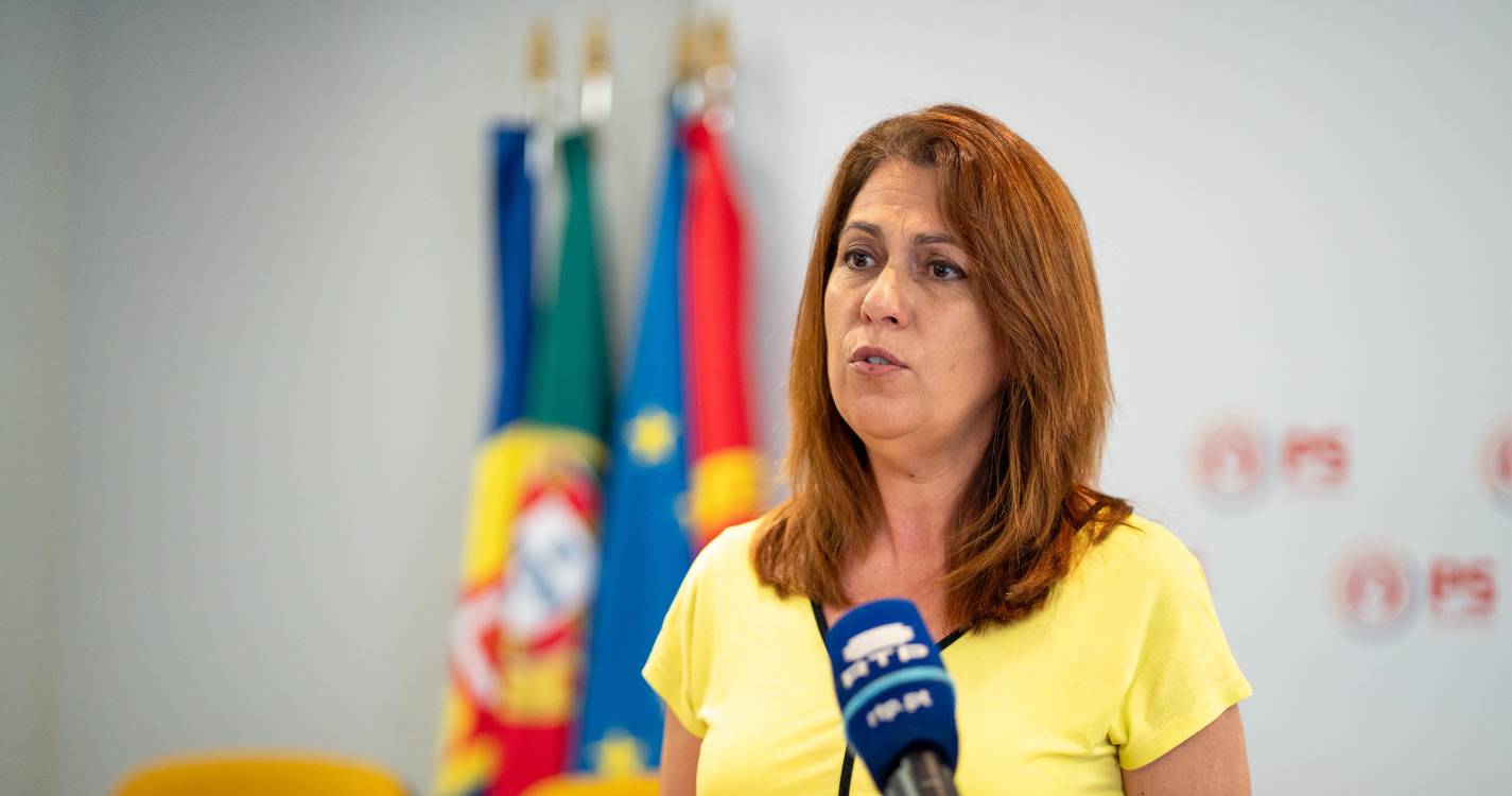 PS propõe que despesas de estudantes com viagens sejam dedutíveis no IRS