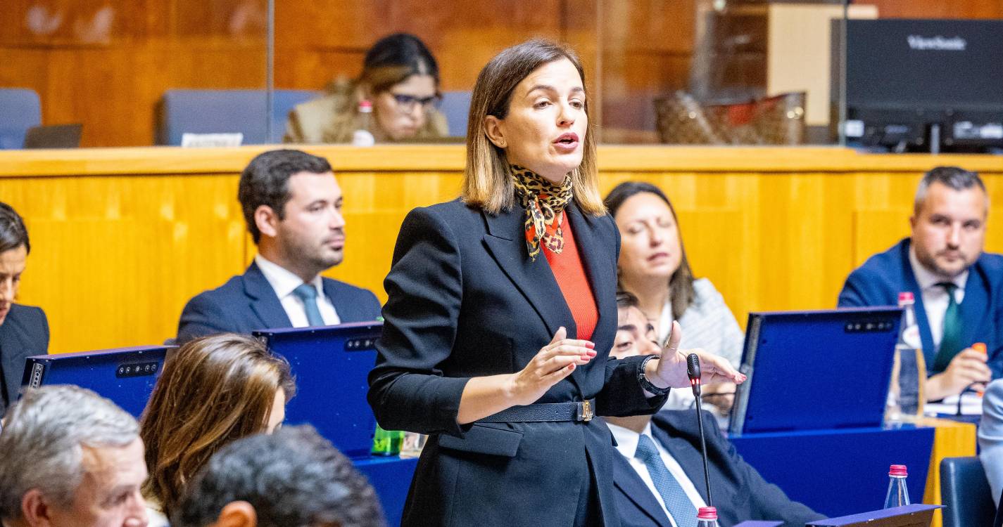 PSD destaca “robustez” da Proteção Civil e reforça aposta na floresta