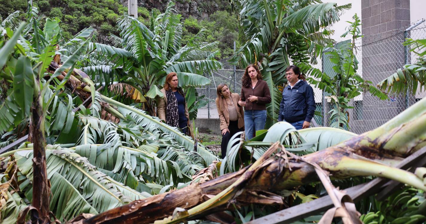 PS exige “apoios rápidos e sem complicações” para os agricultores afetados pelo mau tempo