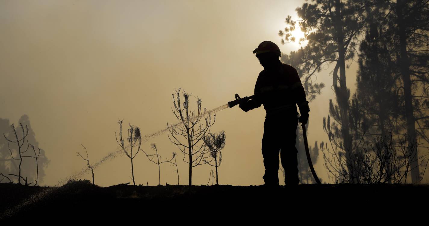 Incêndios: Associação reclama bombeiros profissionais em todos os concelhos