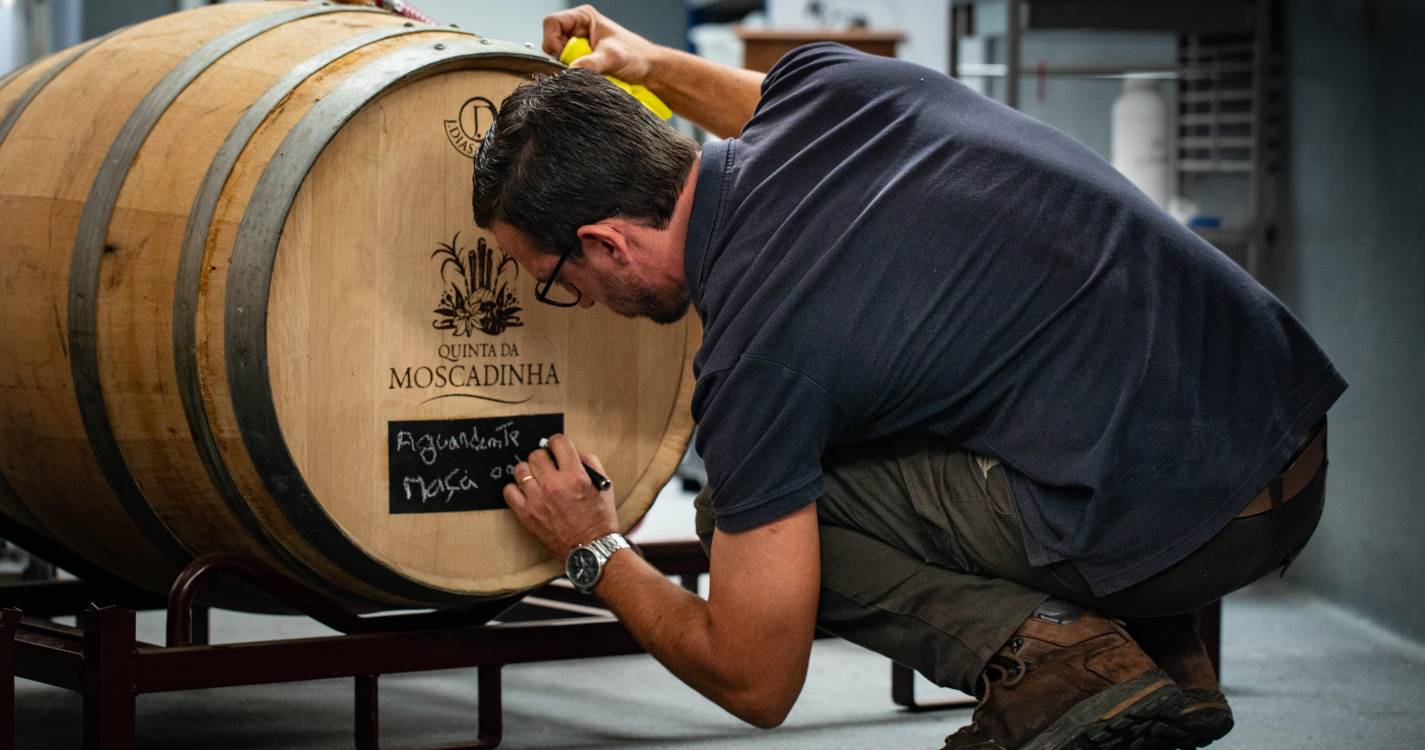 Quinta da Moscadinha lança novas sidras espumantes e aguardente de maçã de produção limitada