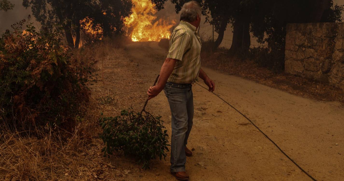 Incêndios: Seia conta já seis casas de segunda habitação destruídas e continua a avaliar prejuízos