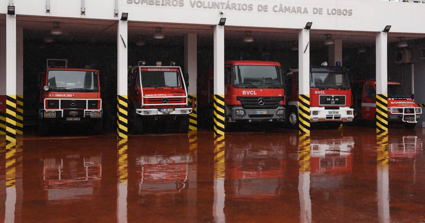 Queda de árvore no Cabo Girão mobiliza bombeiros