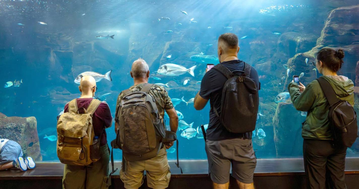 Perdidos e Achados: Um aquário escondido entre muralhas e marés no Porto Moniz
