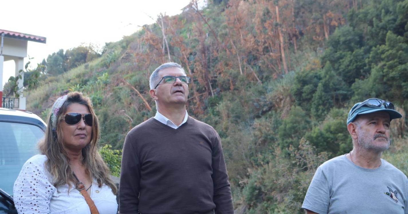 “O investimento público está aprisionado aos grandes grupos económicos”