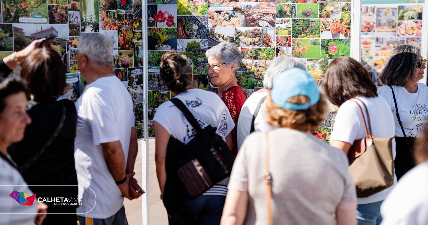 Mais de 50 jardins patentes em mostra inaugurada na Calheta (com fotos)