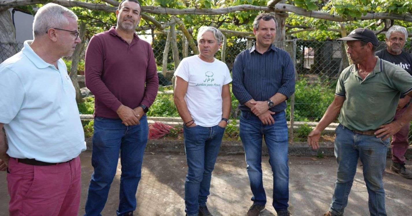 JPP denuncia falhas na proteção dos apicultores