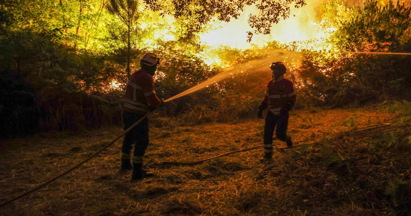 Incêndios: Sete casas de primeira habitação e 39 devolutas arderam em Sernancelhe