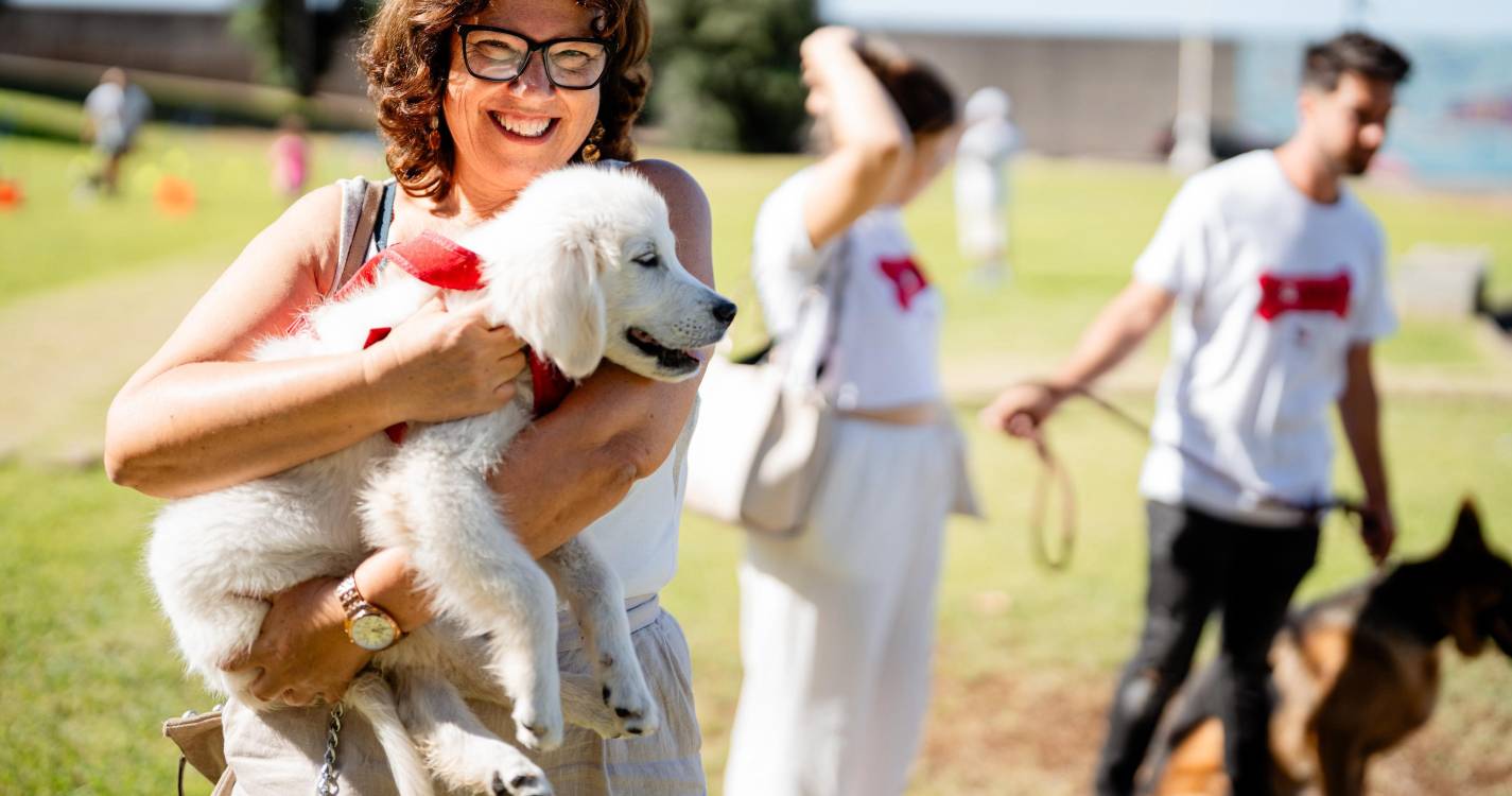 Doroteia Leça garante reforço da política de bem-estar animal na Calheta