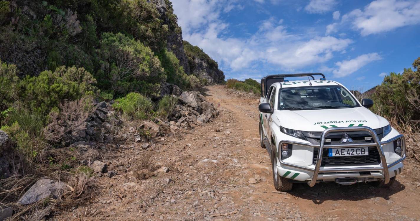 Polícia Florestal identifica autor de despejo ilegal de terras na Calheta