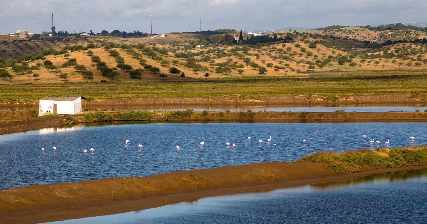 Primeira reserva natural do país era há 50 anos usada como lixeira