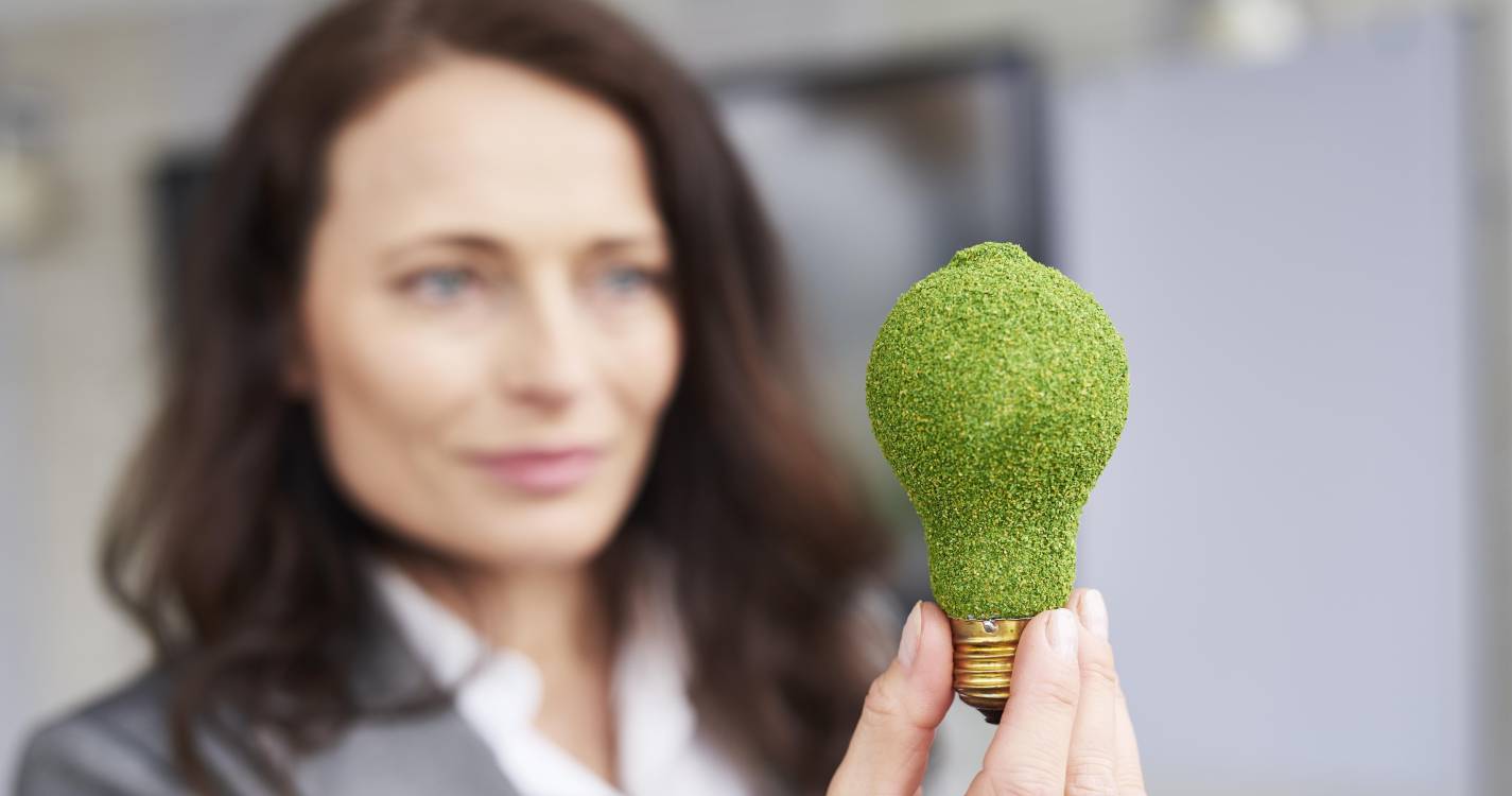 Descarbonização: Workshop online sobre o projeto MAESHA