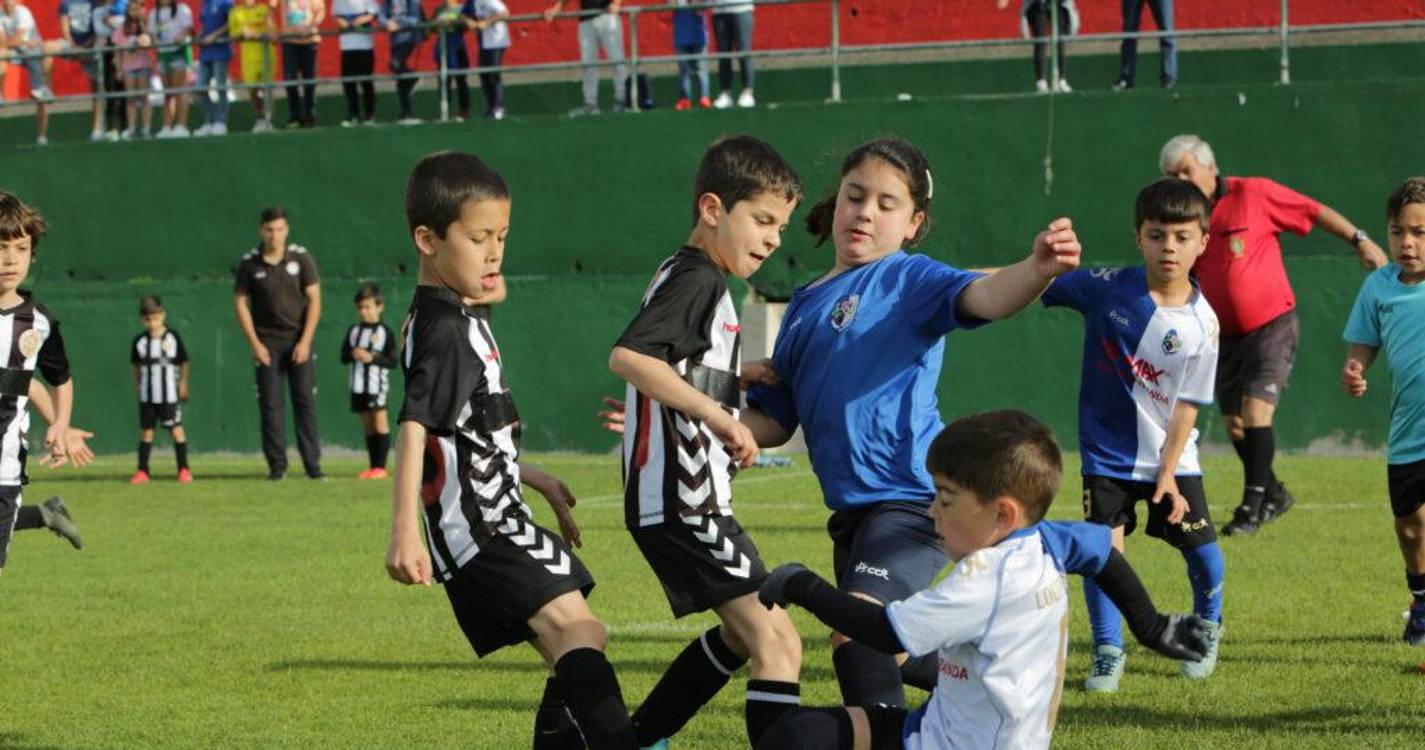 Torneio Marítimo Centenário juntará cerca de 700 atletas