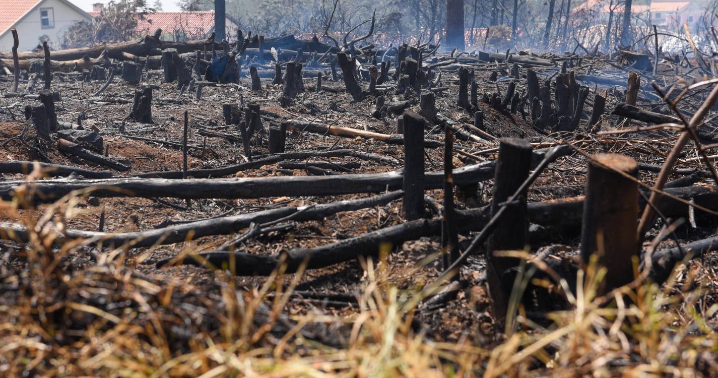 Fogo em mato no Estreito de Câmara de Lobos mobilizou três corporações de madrugada