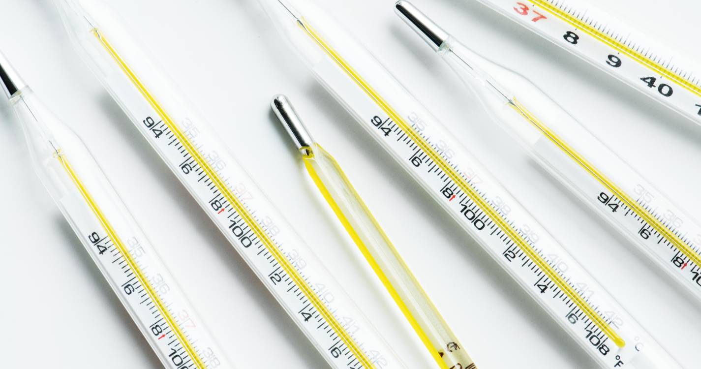 Portugal sem casos da febre do Nilo enquanto aumentam casos na Europa