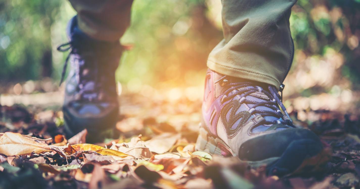 Caminhar 7.000 passos por dia pode reduzir risco de doenças crónicas