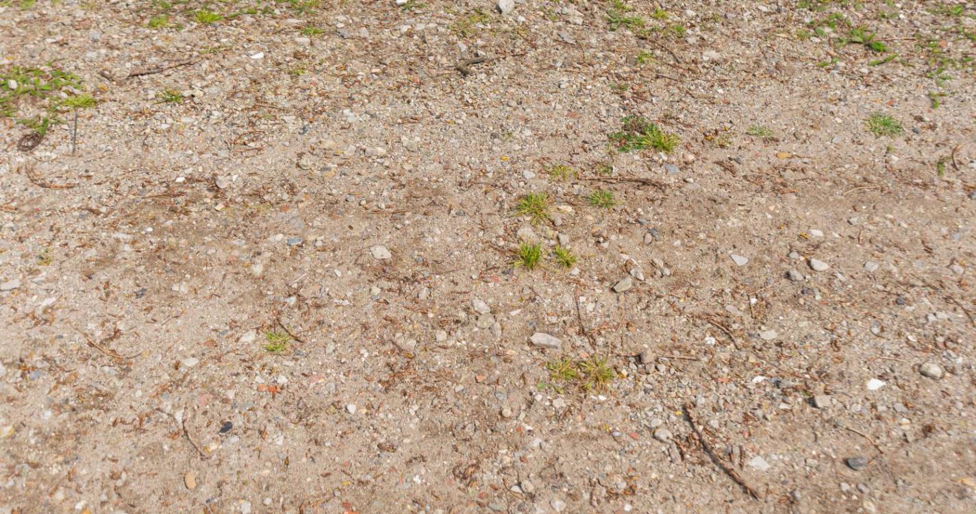 Nova lei dos solos visa mais casas e mais baratas para a classe média