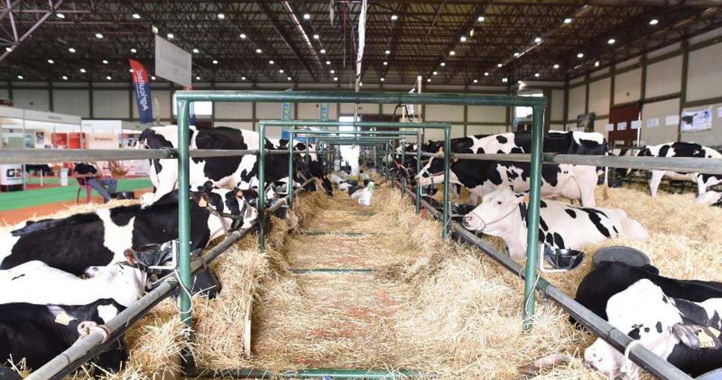 Chega propõe sistema específico de deteção de incêndios para as pecuárias